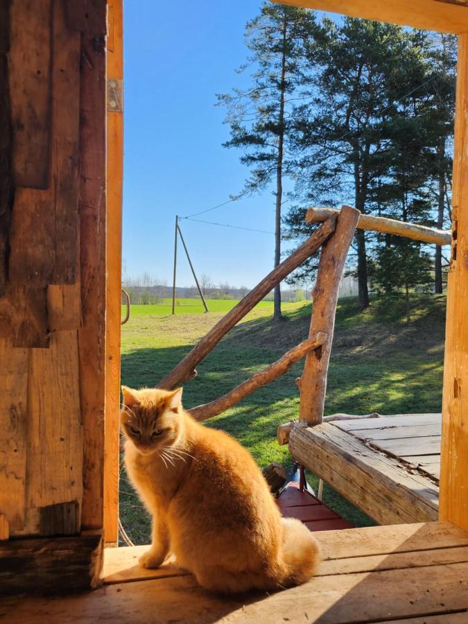 Baltas Raganinas Pirts Villa Sabile Buitenkant foto